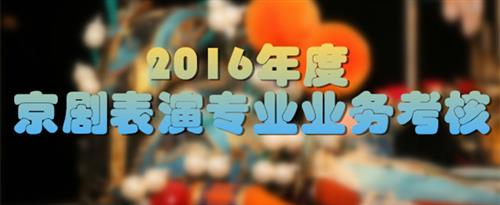 久久叉国家京剧院2016年度京剧表演专业业务考...